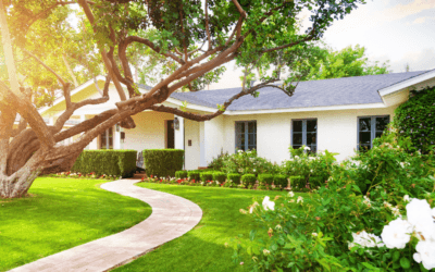 50 Business Trends to Watch