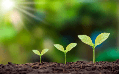 Understanding the Owner’s Role in a Growing Remodeling Company