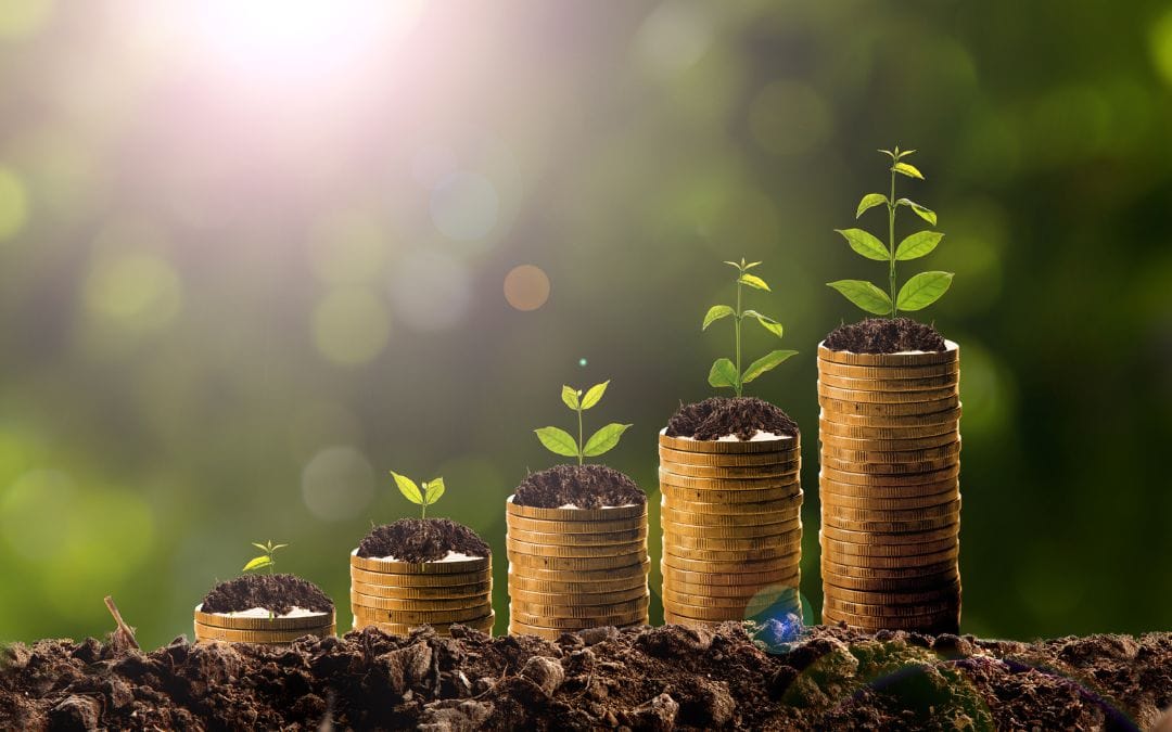 Understanding the Owner’s Role in a Growing Remodeling Company