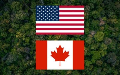 Canadian Lumber Duties Hit 35% — And May Go Higher Soon